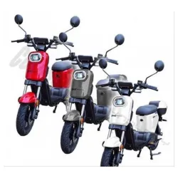 Električni bicikl CSS-52Q Litijumska baterija+ Poklon kofer