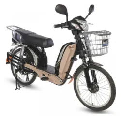 Električni bicikl GLX-A-2 (D/S)  22 in