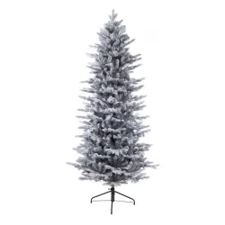 Novogodišnja jelka Grandis fir frosted Everlands 240cm