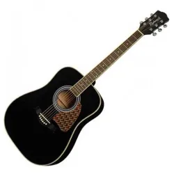 Akustična gitara Richwood RD-16-BK Akustična gitara Richwood RD-16-BK