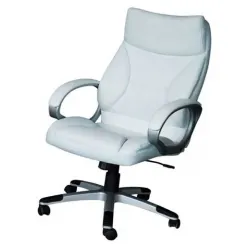 Kancelarijska fotelja Whity & Blacky 6160 office pro
