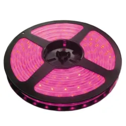 LED traka roza 60 LED / 1m LTR3528/60P-12