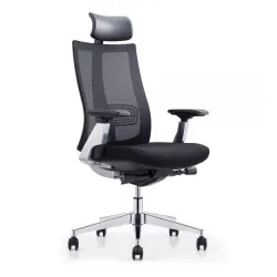 Ergonomska radna stolica HUNT