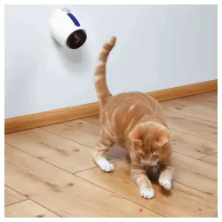 Moving Light laser za mačke