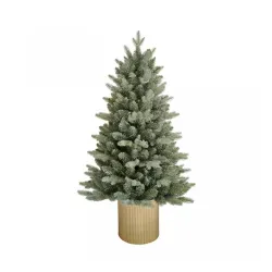 Novogodišnja jelka u saksiji - 45 cm