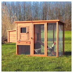 Kućica za koke borovo drvo 170x105x77cm braon