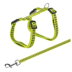 Am i povodac za mačereflektujući