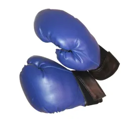 Rukavice za boks PV 10