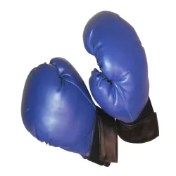 Rukavice za boks  PV 12