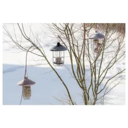 Dozator hrane sa zaštitnom zaštitnom pločom metal 500 ml/ø19 × 26 cm bakar