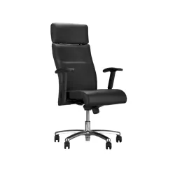 Radna stolica Neo lux 
