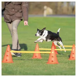 Set prepreka sa pilonima za vežbu pasa 3kom 