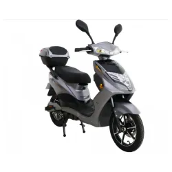 Električni bicikl Discovery 16in Siva 