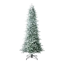 Novogodisnja jelka Snowy Redwood Pine 240cm