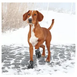 Zaštitne ćizmice za pse Walker active M