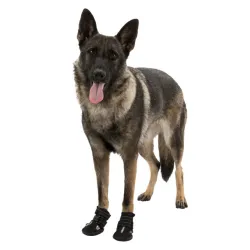 Zaštitne Čizmice Za Pse Walker Active XL