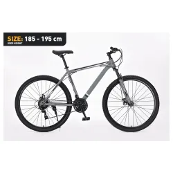 Xplorer MTB bicycle MATTERHORN Gray 29"