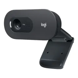 Web camera Logitech C505e 960-001372