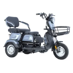 Električni tricikl 14" TITAN 250W 48V/20Ah siva