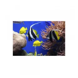 Podloga za miša Fellowes Earth Sea 5909301