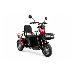 Eb-tricikl veneco bn025 cargo bordo 48v 20ah