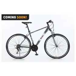 Xplorer City bike BERLIN Gray 28"