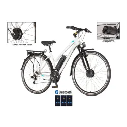 E-bicikl visitortouring cross bicikla belo siva