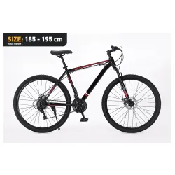 Xplorer MTB bicycle MATTERHORN Black 29"