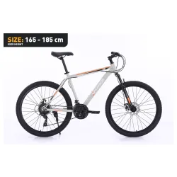 Xplorer MTB bicikl DENVER Sivi 26"