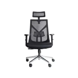 Ergonomska kancelarijska stolica UGD Aura D32