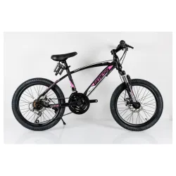 BIC.20"/6 SUS GENESIS VALVET