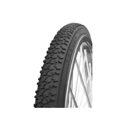 Sp.29x2.10 (54-622) b-12 trayal