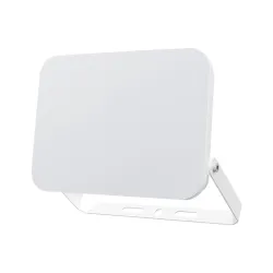 BRAYTRON CCT LED reflektor 100W