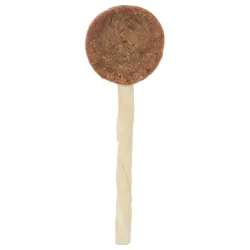 Premio lollipop box 8 cm 10g