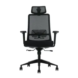 Ergonomska kancelarijska stolica UGD LumbarMax