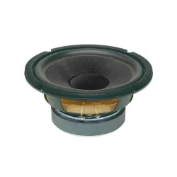 Niskotonski zvučnik 165mm 80W