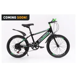 Kids bicycle Xplorer Ranger black-green 20"