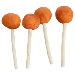 Premio lizalica sa balakarom 9cm 15g