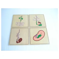 Montesori Botaničke puzzle