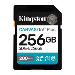 SD Card 256GB Kingston SDG4/256GB class 10 200Mbs/160Mbs