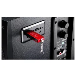 Microlab M300U Aktivni drveni zvucnici 2.1  38W RMS(14W,2x12W) SD, USB, FM radio, 3.5mm