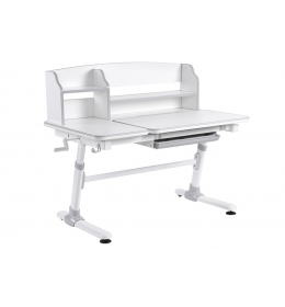 Evolution - Kids Desk Grey