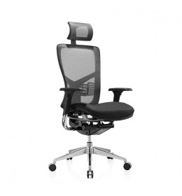 Ergonomska stolica WES
