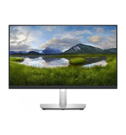 DELL 23.8 inch P2422H Professional IPS monitor