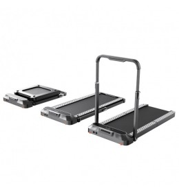 WP2 PLUS