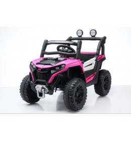 TS-303 Roze