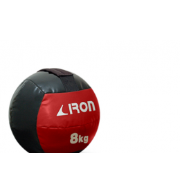 Wall Ball lopta za bacanje 8 kg