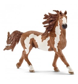 Pastuv Pinto Schleich GmbH