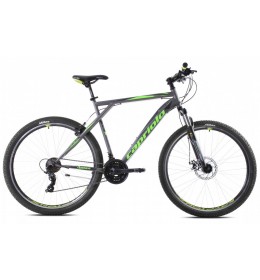 Bicikl Capriolo MTB adrenalin 29''/21HT sivo-zelena 21