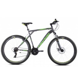 Bicikl Capriolo MTB adrenalin 29''/21HT sivo-zelena 23